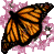 butterfly 49x49 [2k]