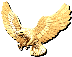 Gold eagle, 252x200 [12k]