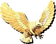 Gold eagle, 187x149 [8k]