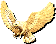 Gold eagle, 187x149 [8k]