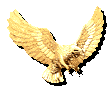 Gold eagle, 111x90 [2k]