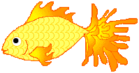 goldfish, 199x105 [6k]