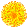 chrysanthemum, 100x98 [5k]