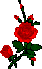 roses, 60x98 [2k]