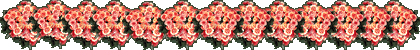 roses divider, 420x50 [12k]