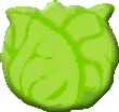 cabbage 110x104 [k]
