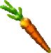 carrot 72x75 [k]