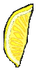 lemon slice 53x100 [k]