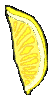 lemon slice 53x100 [k]