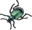 Green beetle ~ 104x100 [3k]