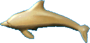 Gold dolphin, right 179x86 [5k]