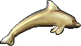 Gold dolphin 118x67 [3k]